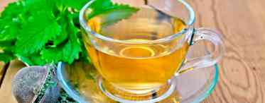 Чай з мелісою: корисні властивості і шкода. Чай «Грінфілд» з мелісою