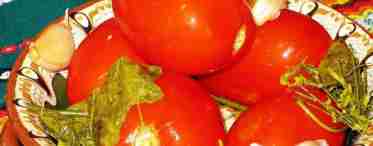 Готуємо квашені зелені помідори своїми силами в домашніх умовах