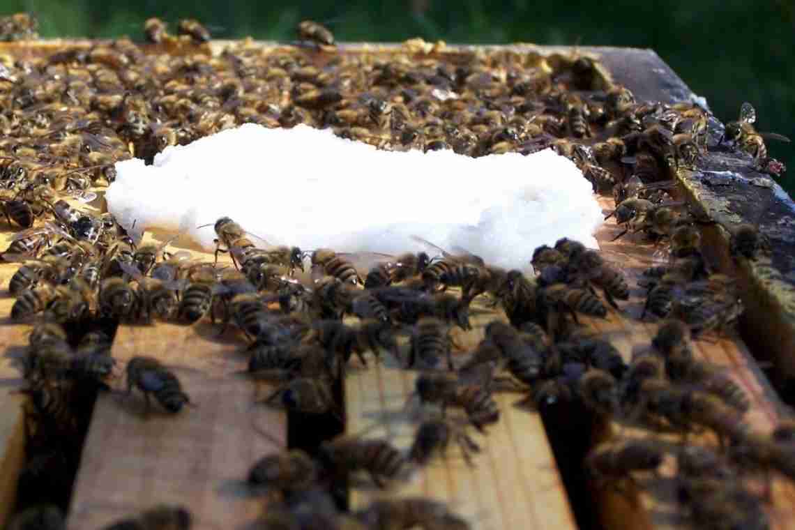 Як позбутися бджіл на дачі