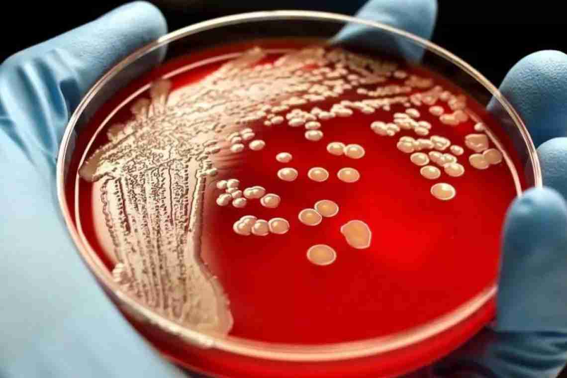 Чи бактеріурія небезпечна в період виношування дитини?