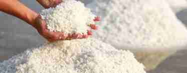 Що потрібно знати при виборі йодованої солі?