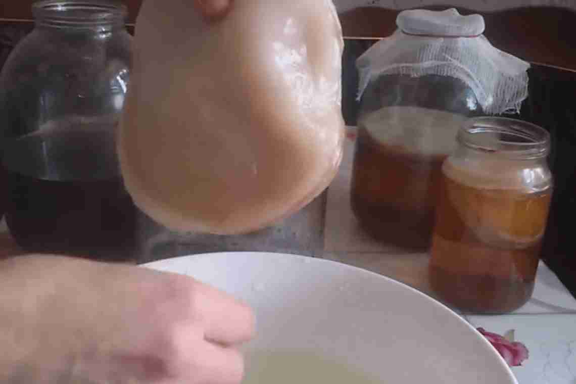 Як доглядати за чайним грибом