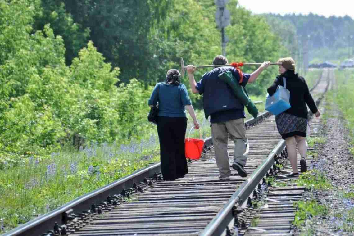 Розповідь: поїздка на дачу