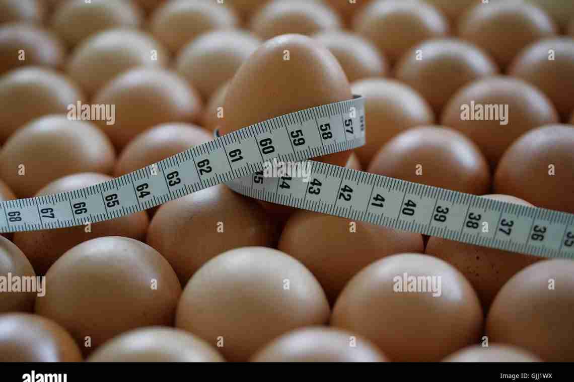 Детальне меню яєчної дієти на 4 тижні