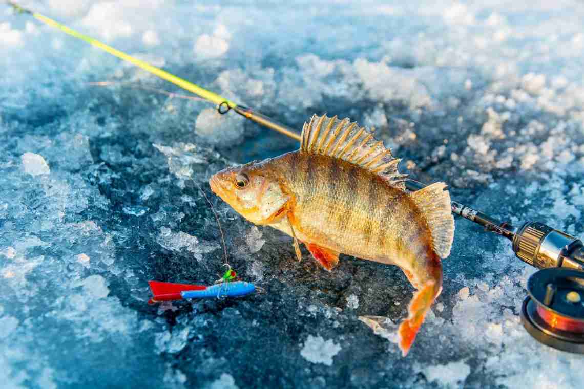 Зимова риболовля на окуня: секрети