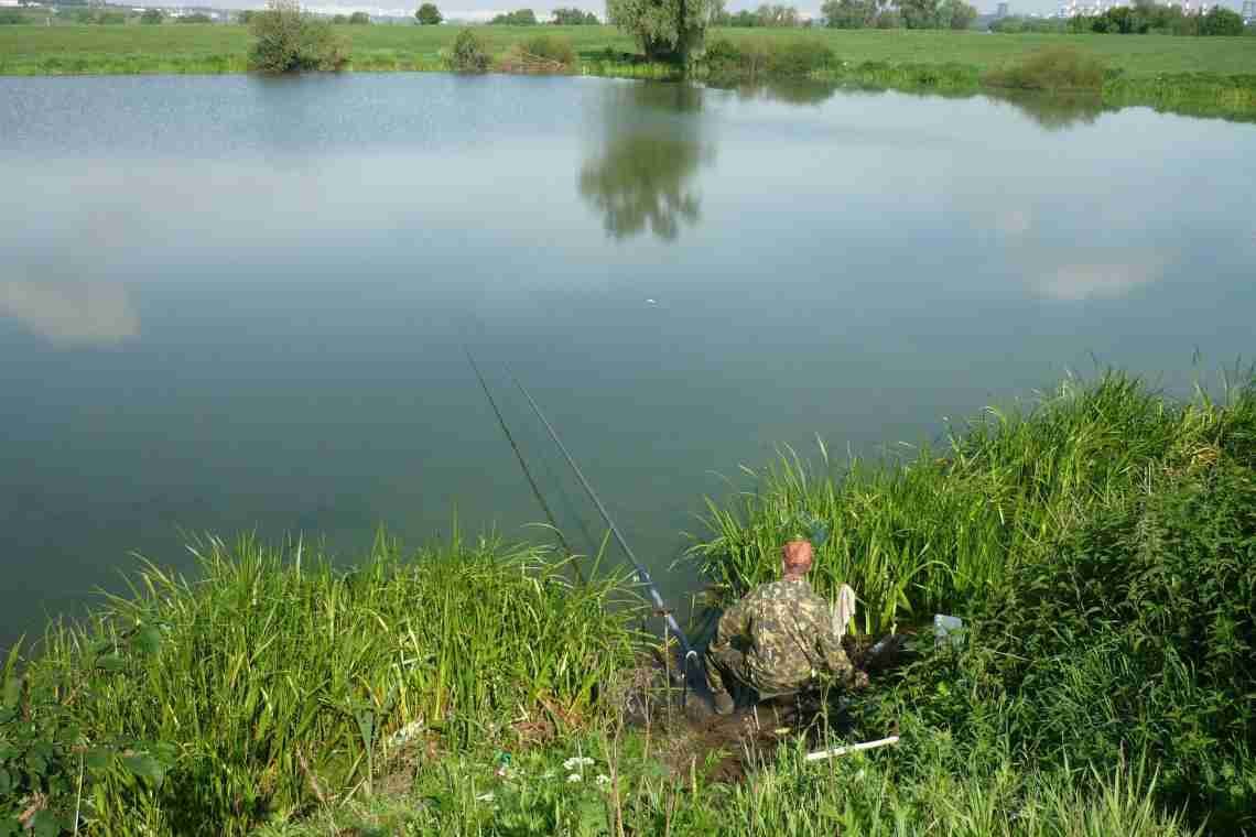 Звіти про риболовлю у Вологодській області: річки та озера