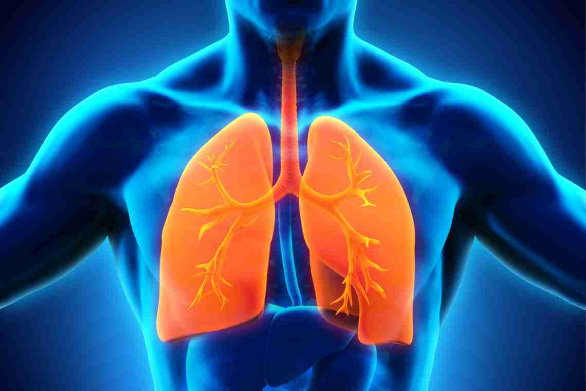 Як можна перевірити легені?