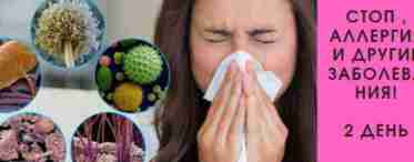 Алергія на пилового кліща: причини та симптоми