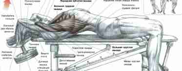Віджимання на плечі: качаємо дельтовидні м'язи