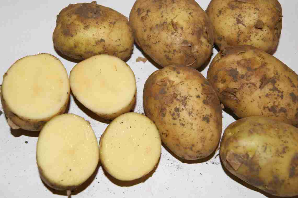 Занурення картоплі