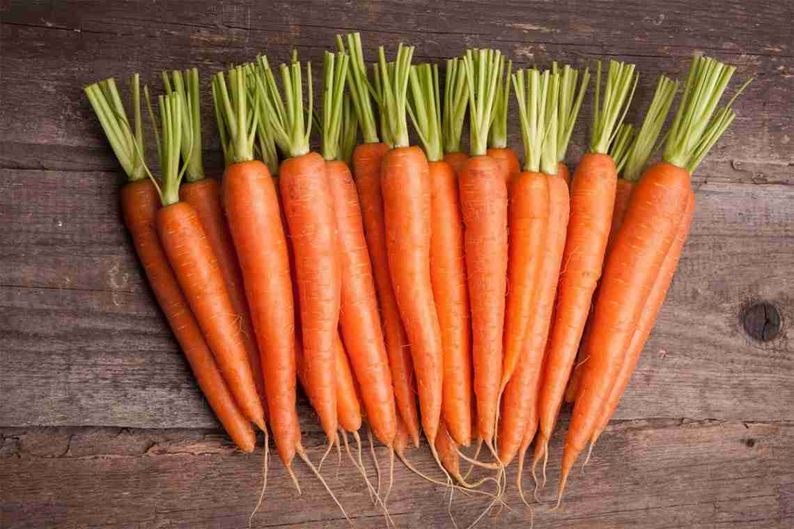 Через скільки сходить морква