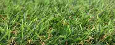 Штучна трава для кладовища: опис, як постелити