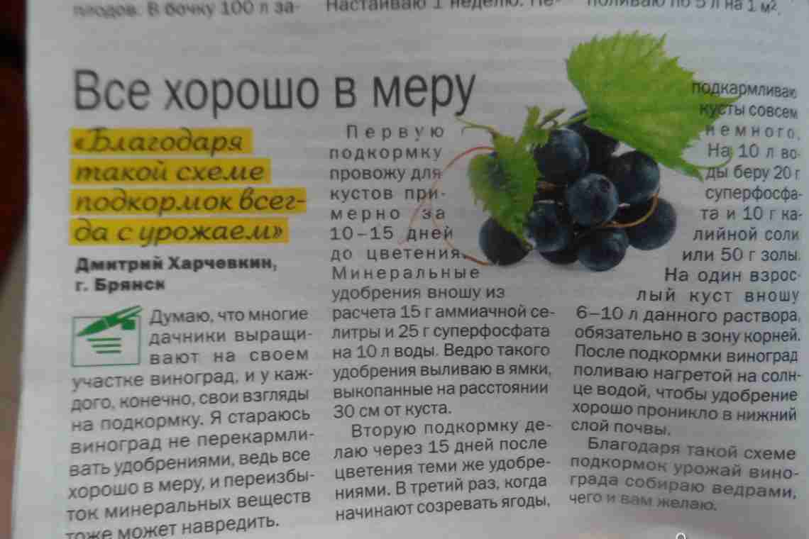 Рідоміл Голд МЦ: інструкція щодо застосування для винограду