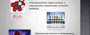 Хікама - що це? Опис, властивості, кулінарне використання