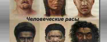 Американоїдна раса: історія появи, генетика, типові представники, опис і зовнішній вигляд з фото