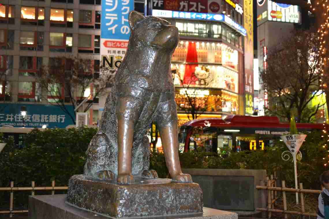 Хатіко: пам'ятник у Токіо. Пам'ятники собаці Хатіко в Японії