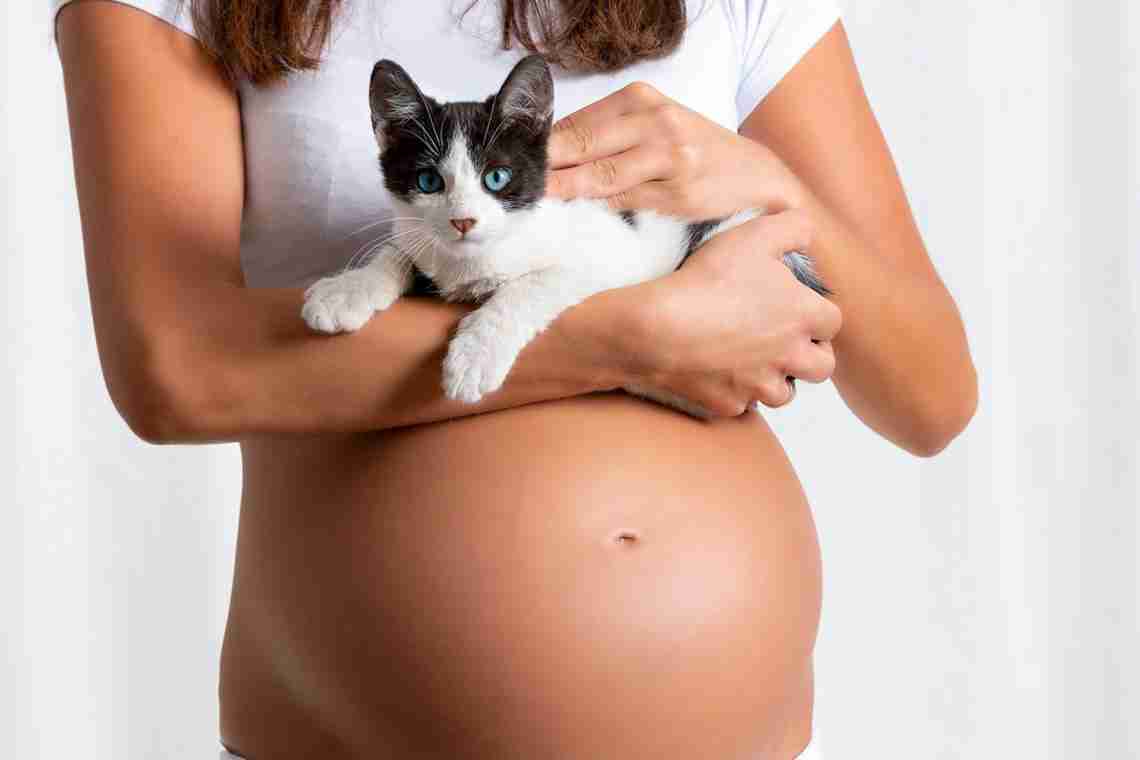 Все, що ви повинні знати про токсоплазмоз під час вагітності