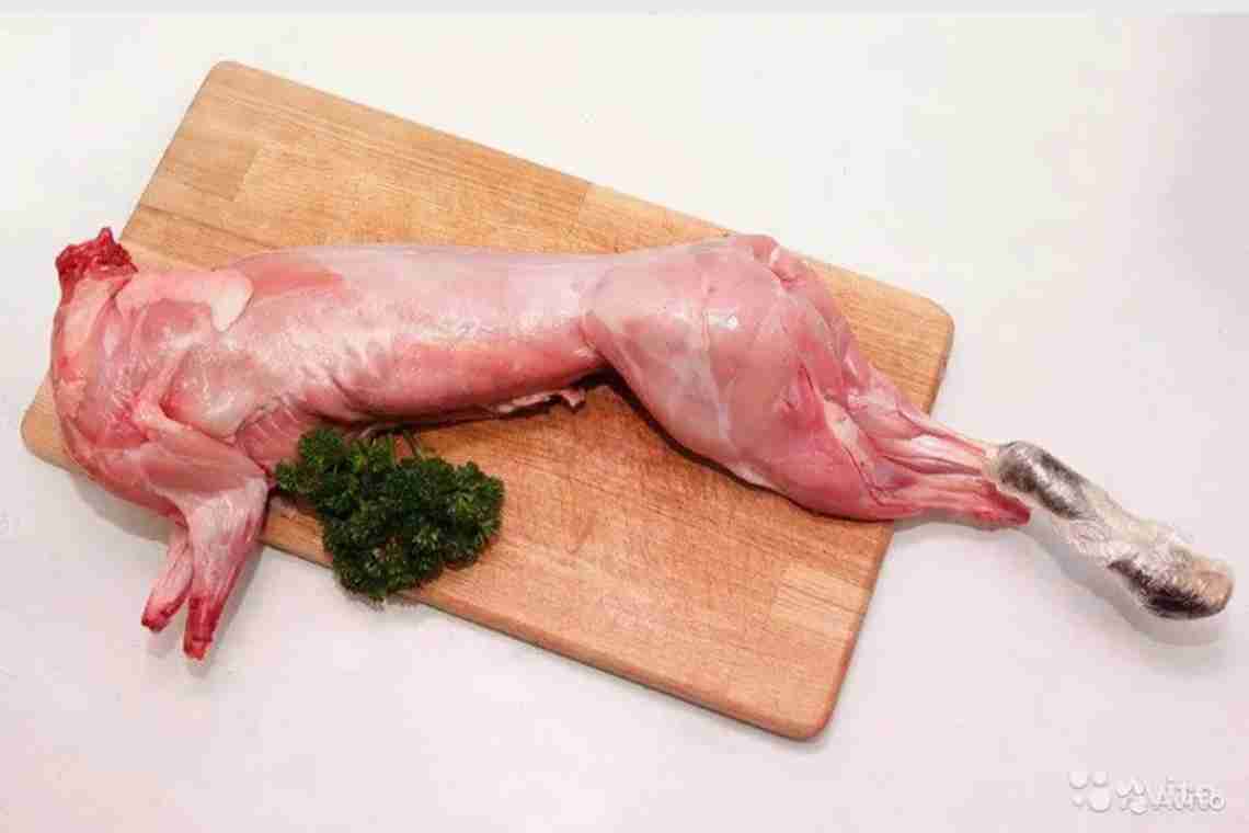 Вчимося готувати м'ясо дикого зайця