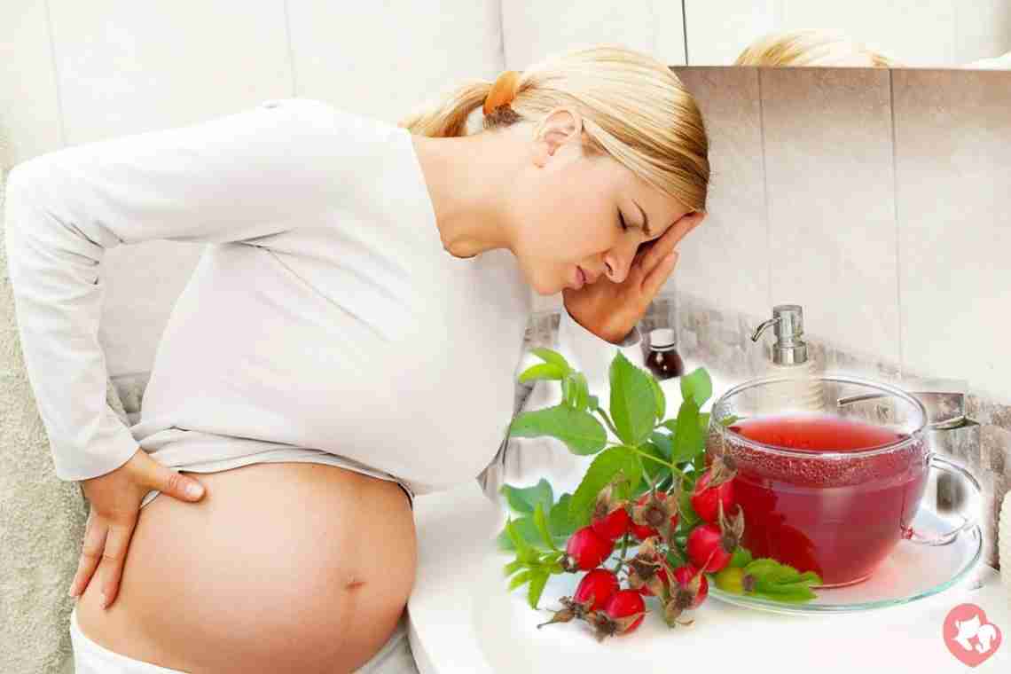 Меліса при вагітності - заспокоїть і зніме токсикоз