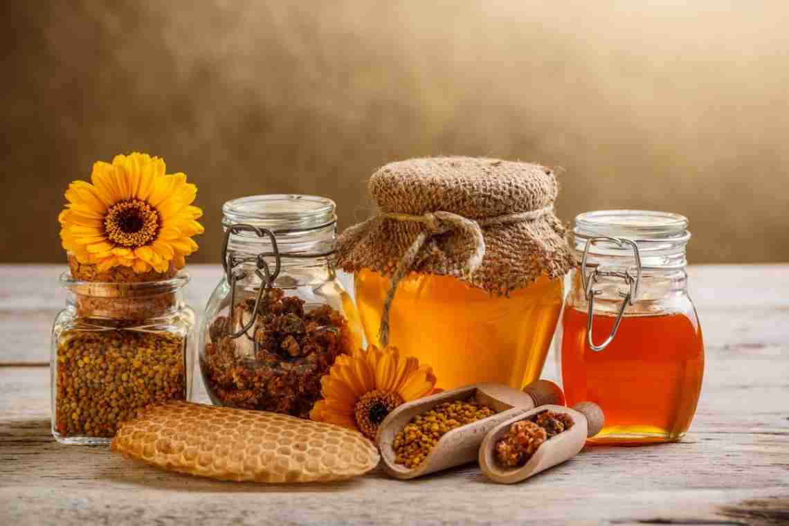 Мед у сотах: користь натурального продукту, його застосування і зберігання