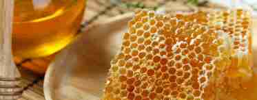 Особливість і властивості меду