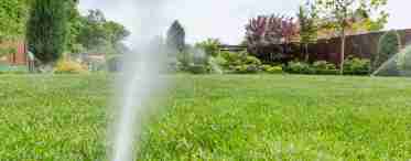 Як часто поливати газон влітку