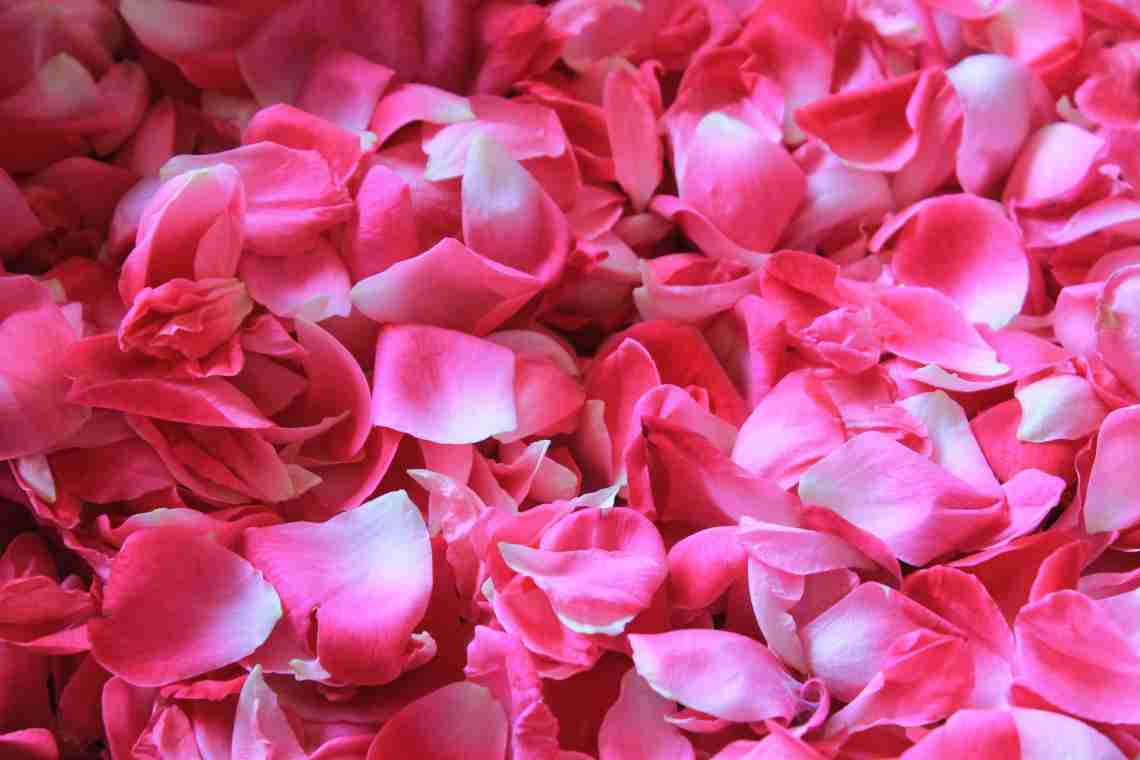 Як зробити засахарені пелюстки троянд