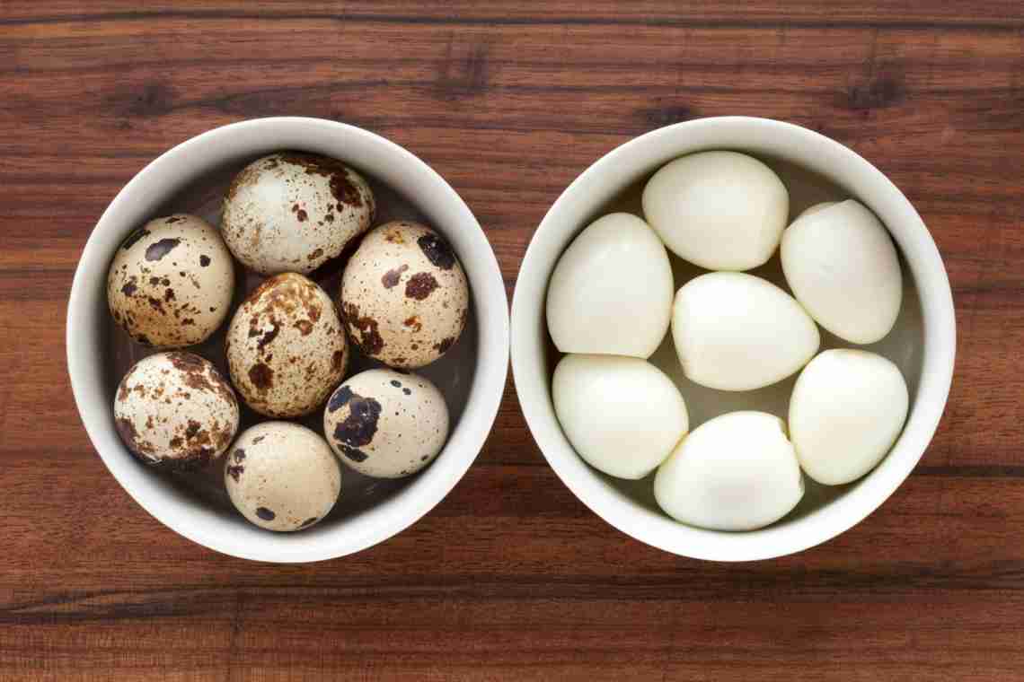 Як приготувати смачні й корисні страви з перепелиних яєць?