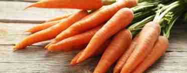 Як вибрати смачну і корисну моркву?