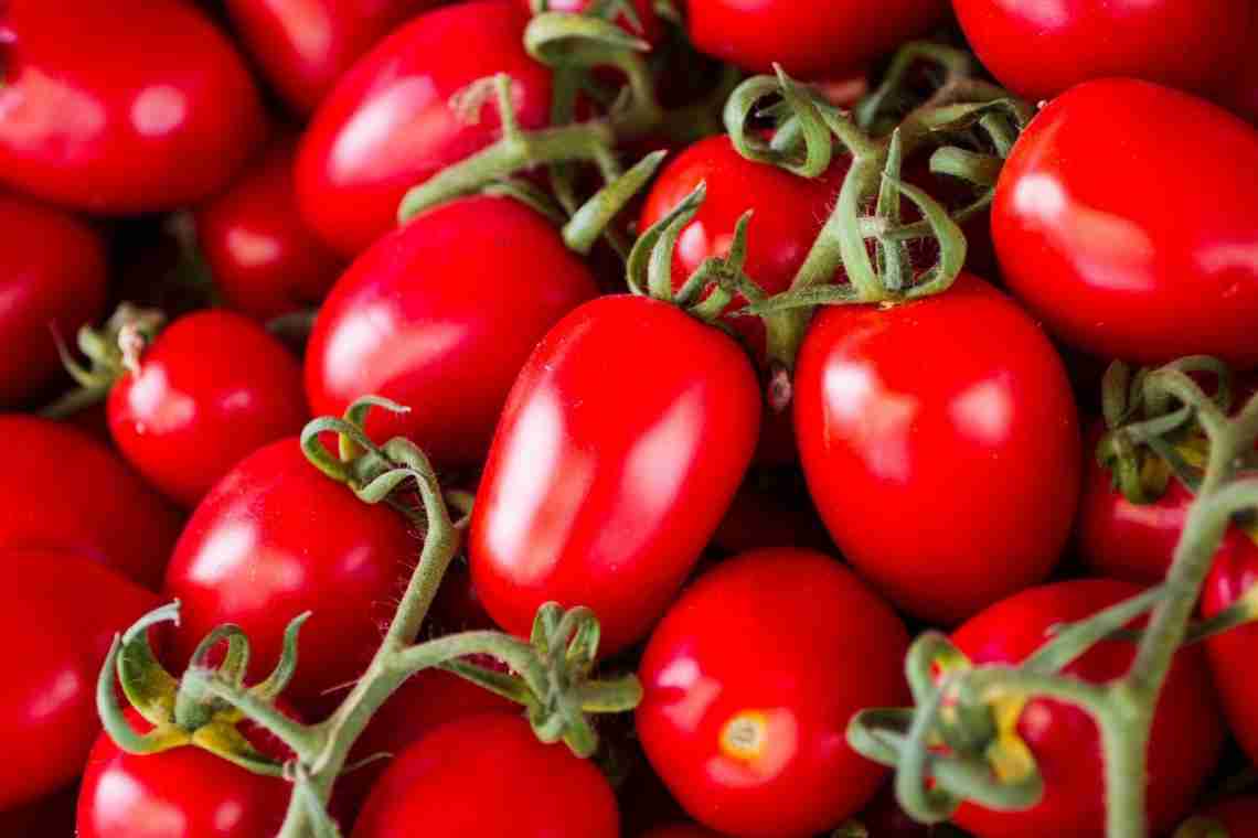 Як вибирати помідори за якістю