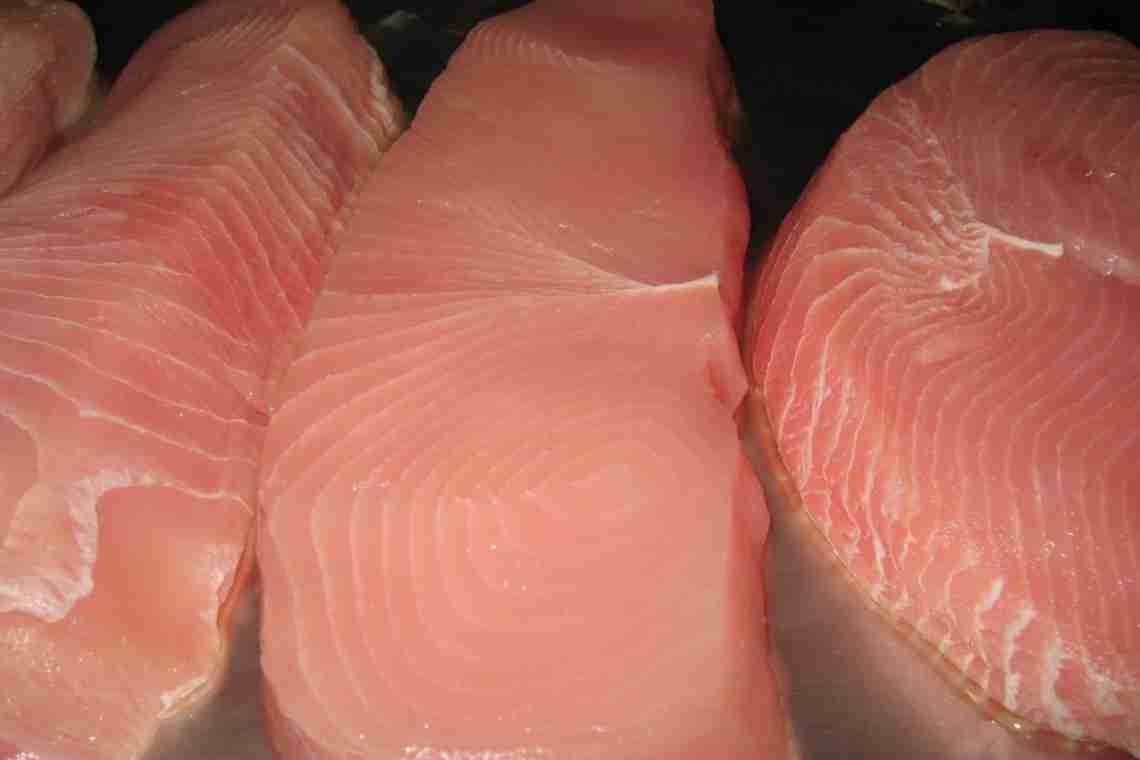 М'ясо акули: склад, корисні властивості та шкода, способи приготування