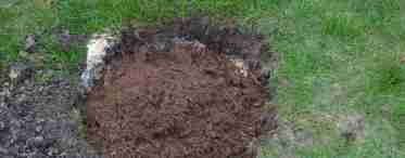 Почва для газона: описание, составы почвы, торф