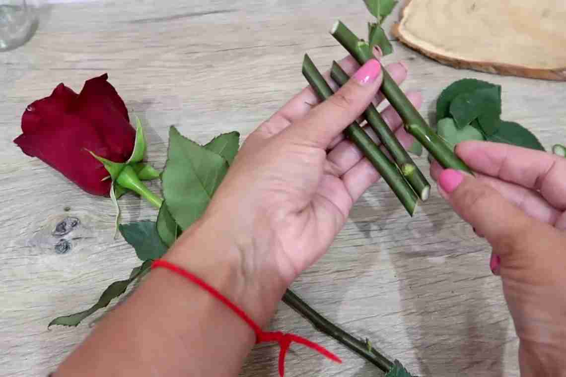 Як зберегти приємні спогади: вчимося доглядати за букетами троянд