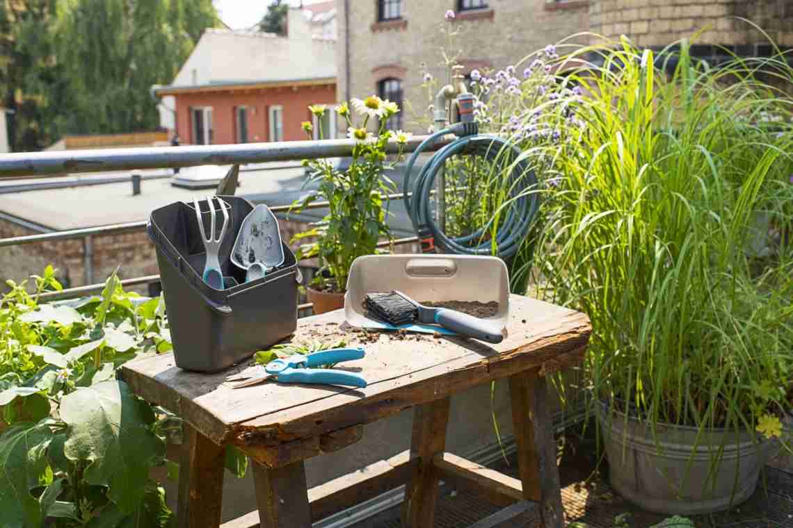 10 обязательных инструментов для работы в саду;
