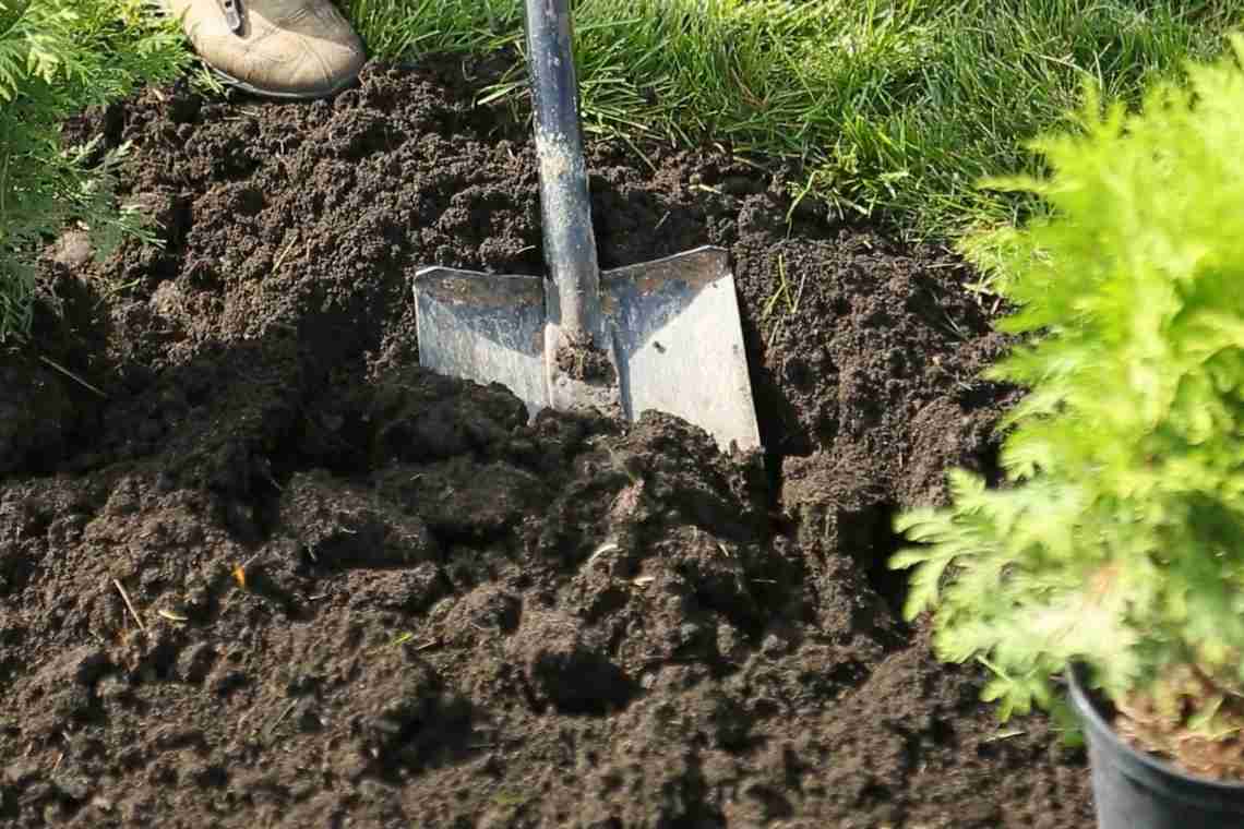 Как улучшить почву на садовом участке