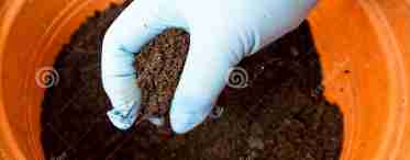 Как сделать почвосмесь для разных видов рассады своими руками.