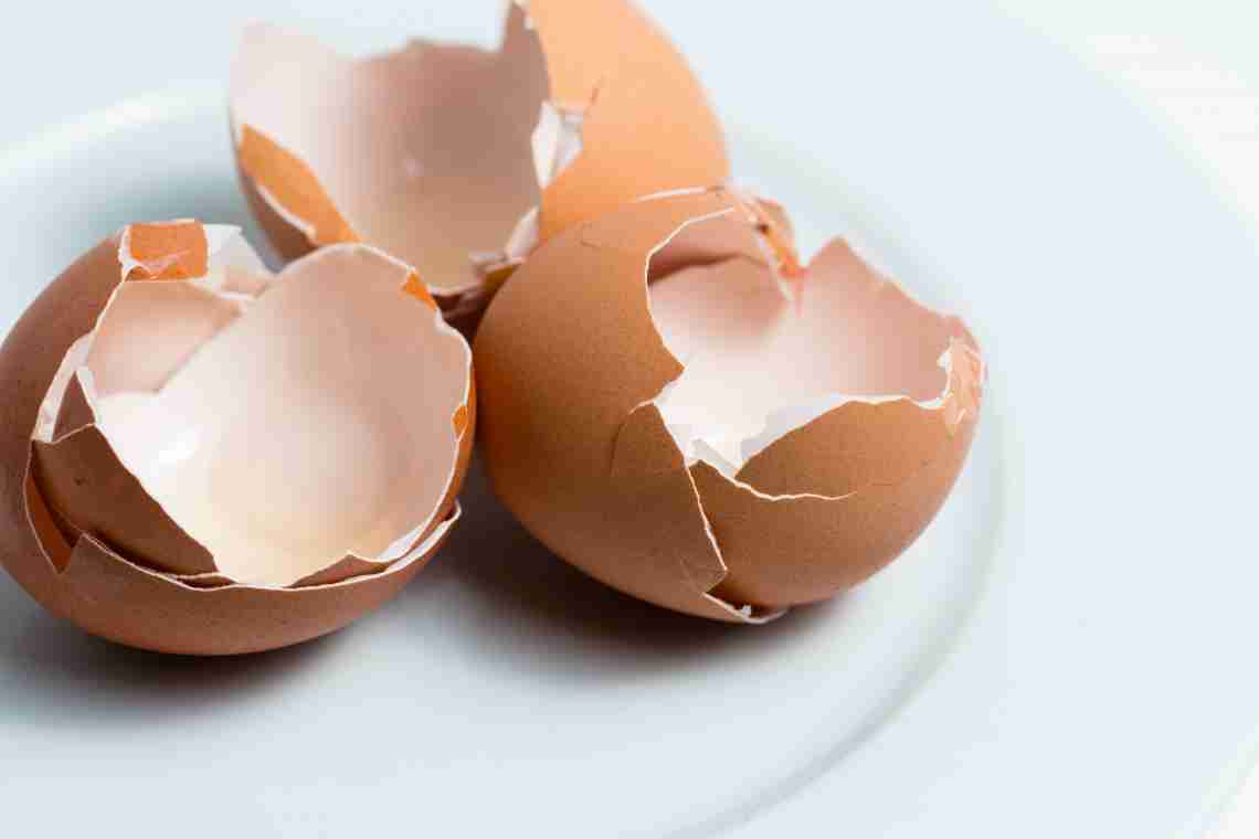 Як використовувати яєчну шкаралупу?
