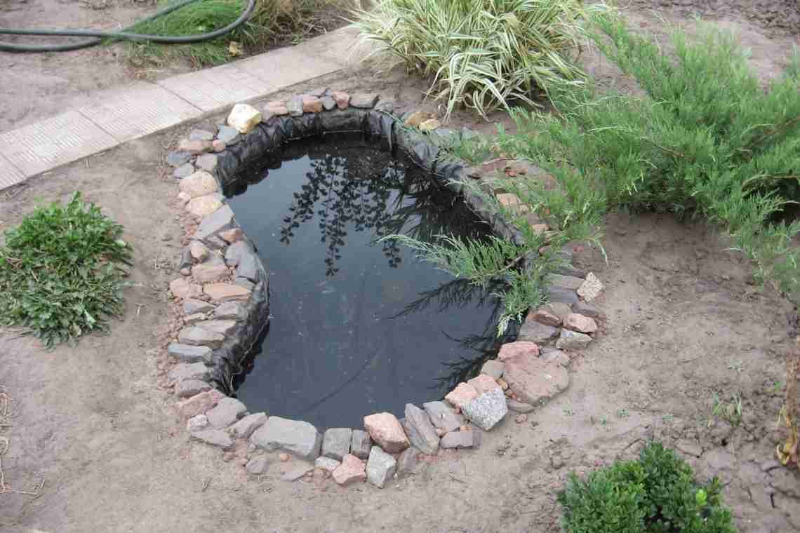Як за допомогою природних підказок знайти воду на садовій ділянці!