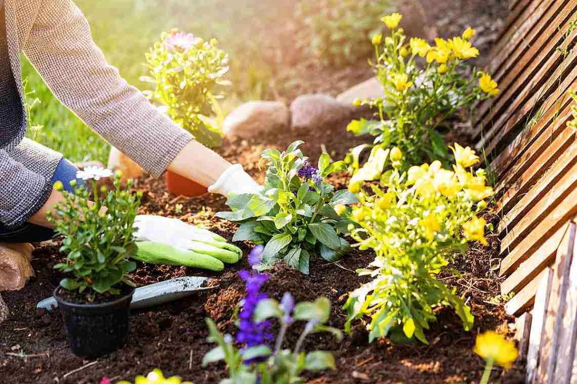 Як захистити свій сад від непрошених гостей