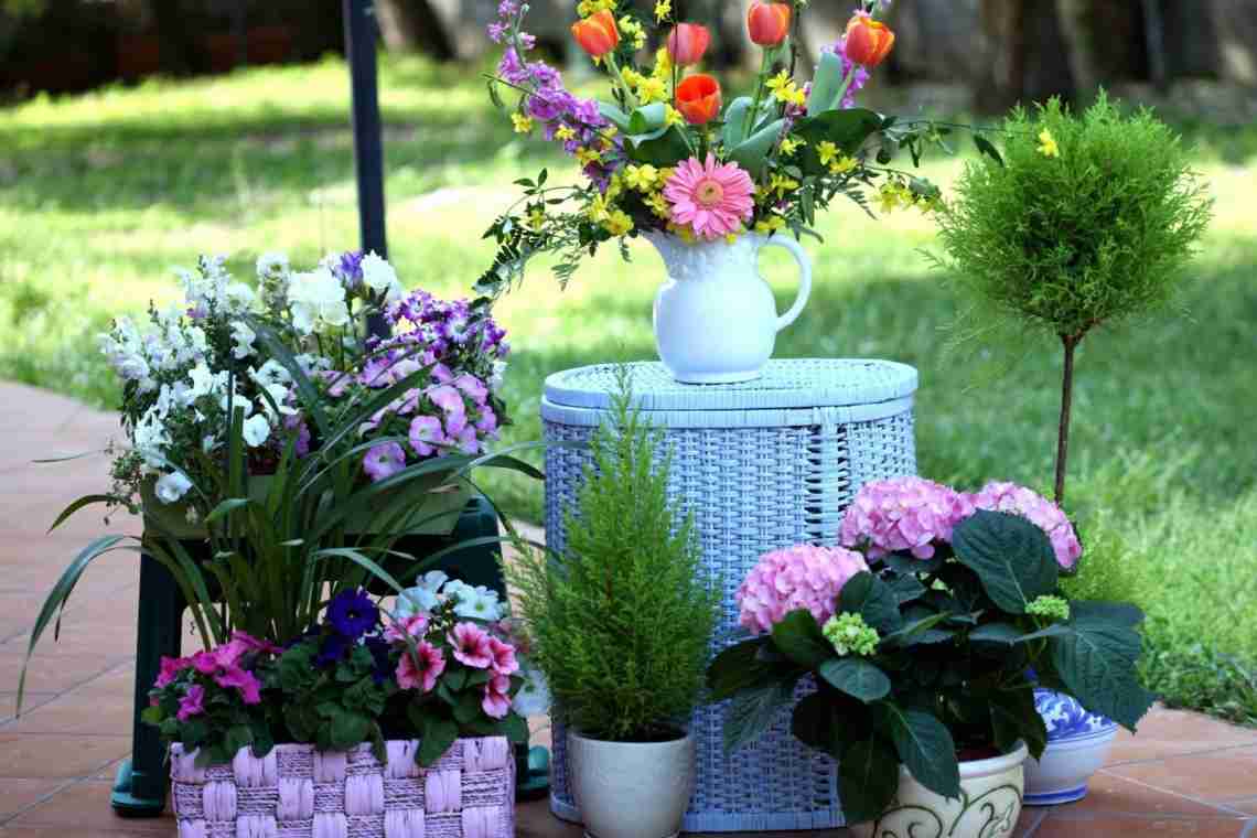 Кращі кімнатні рослини для контейнерних композицій в саду