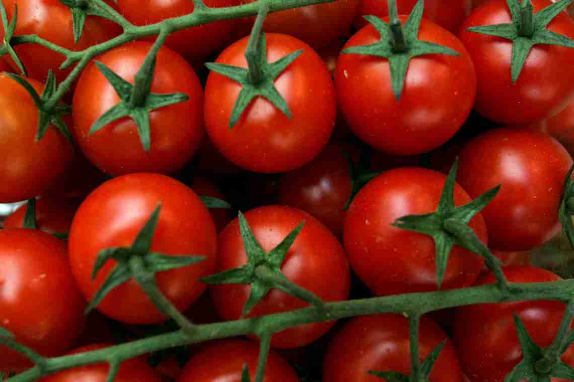 5 сортів фруктових томатів черрі - найсолодших і найяскравіших