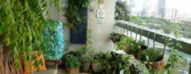 Як облаштувати зимовий сад на балконі?