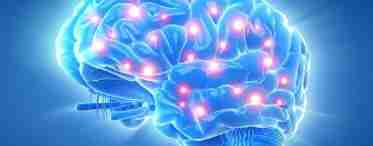 Представлено аналоговий нейронний процесор, який найбільш точно імітує роботу мозку людини 