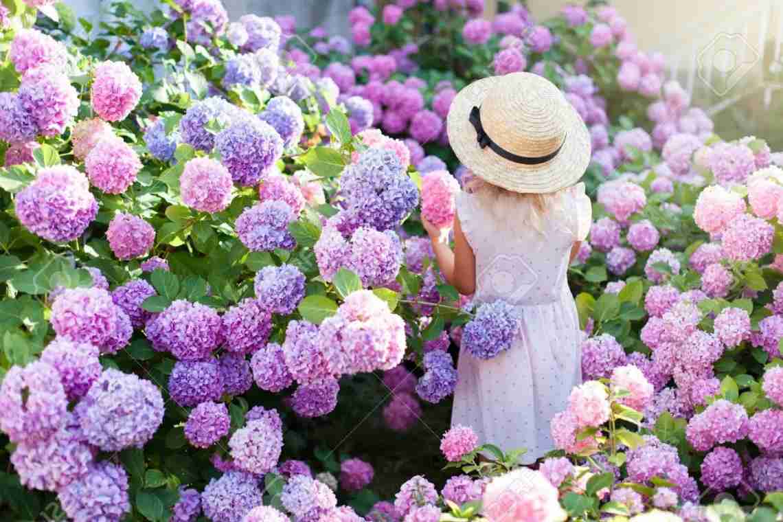 10 квітів, які наповнять сад неповторними ароматами