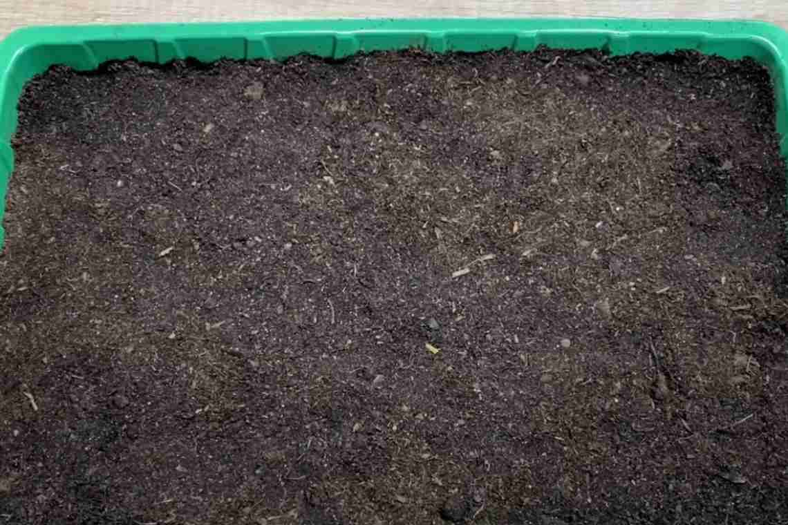 Як перевірити і поліпшити купівельний ґрунт для розсади?