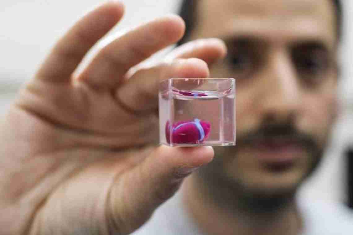 Чиказька біотехнологічна компанія надрукувала повноцінну 3D-копію людського серця