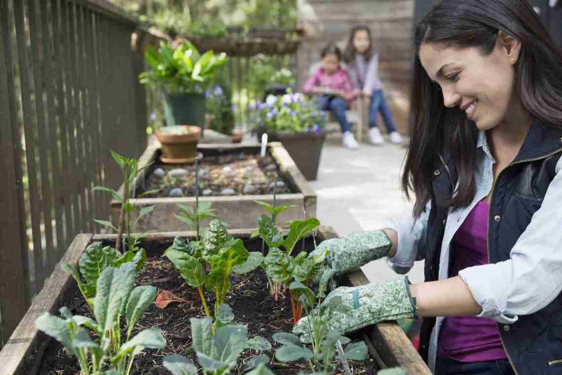 Міні-овочі на городі та підвіконні - чи варто їх вирощувати?