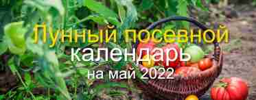 Календар садово-городніх робіт на травень