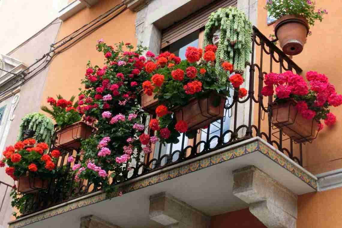 Квіти для балконів і лоджій "