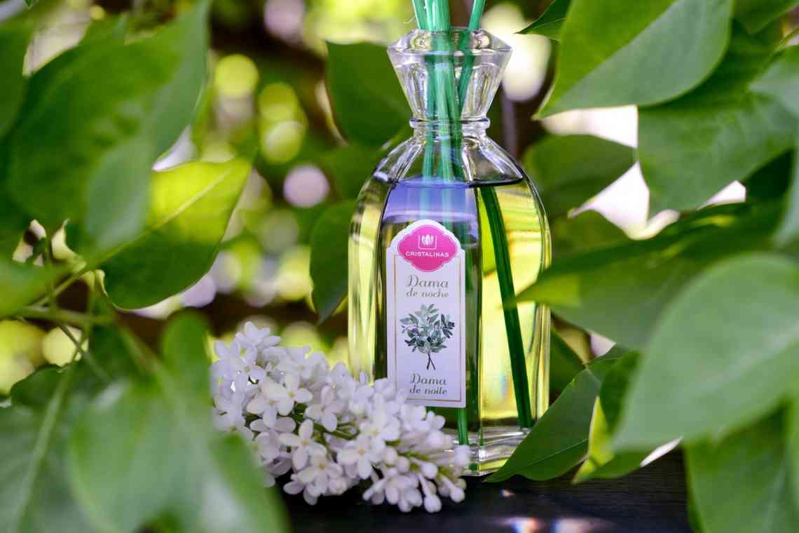 Стефантіс - царські цвітіння, аромат і примхи